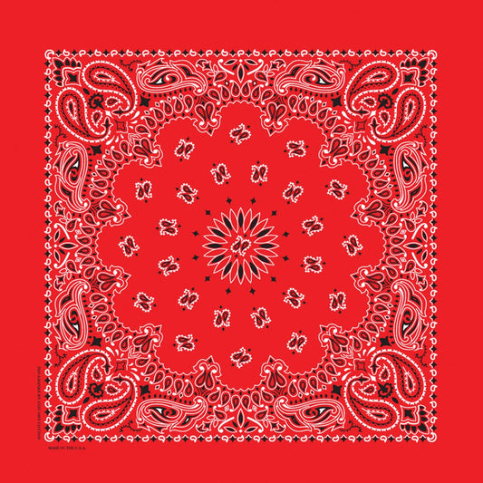 Red 35" x 35" X-Large Paisley Print Bandana
