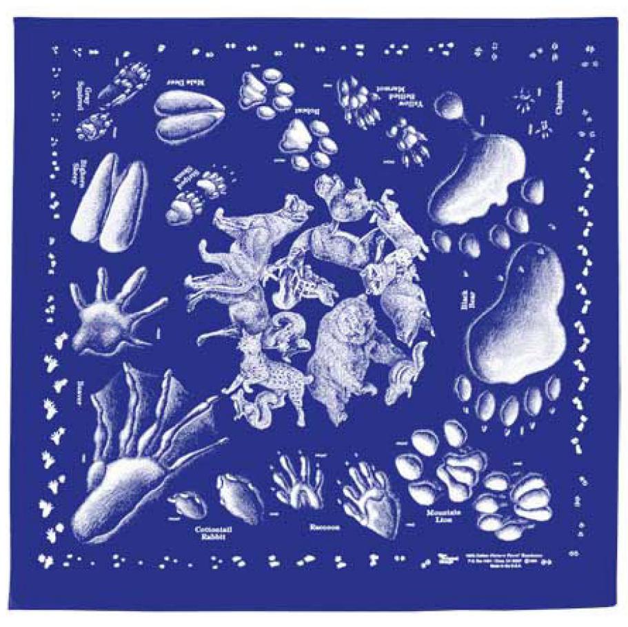 Royal Blue Animal Tracks 22" x 22" Bandana