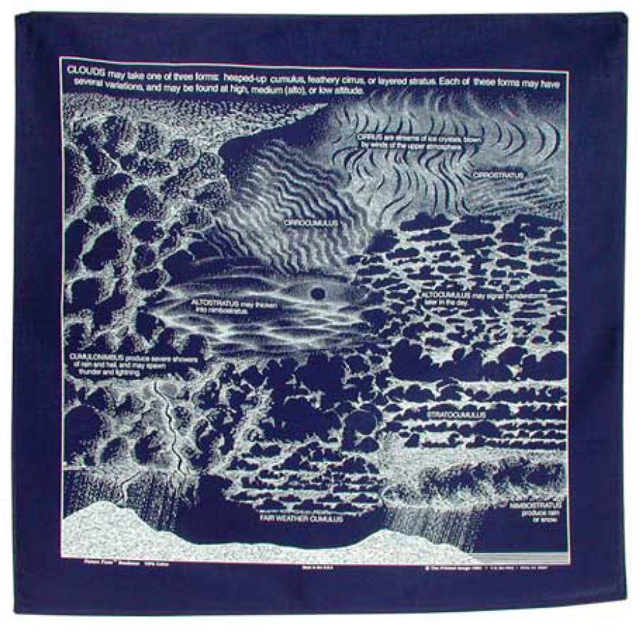 Navy Blue Clouds 22" x 22" Info Bandana