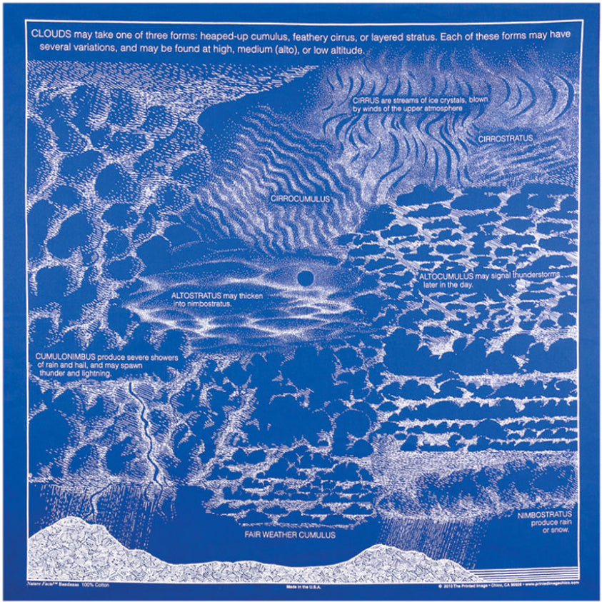 Royal Blue Clouds 22" x 22" Info Bandana