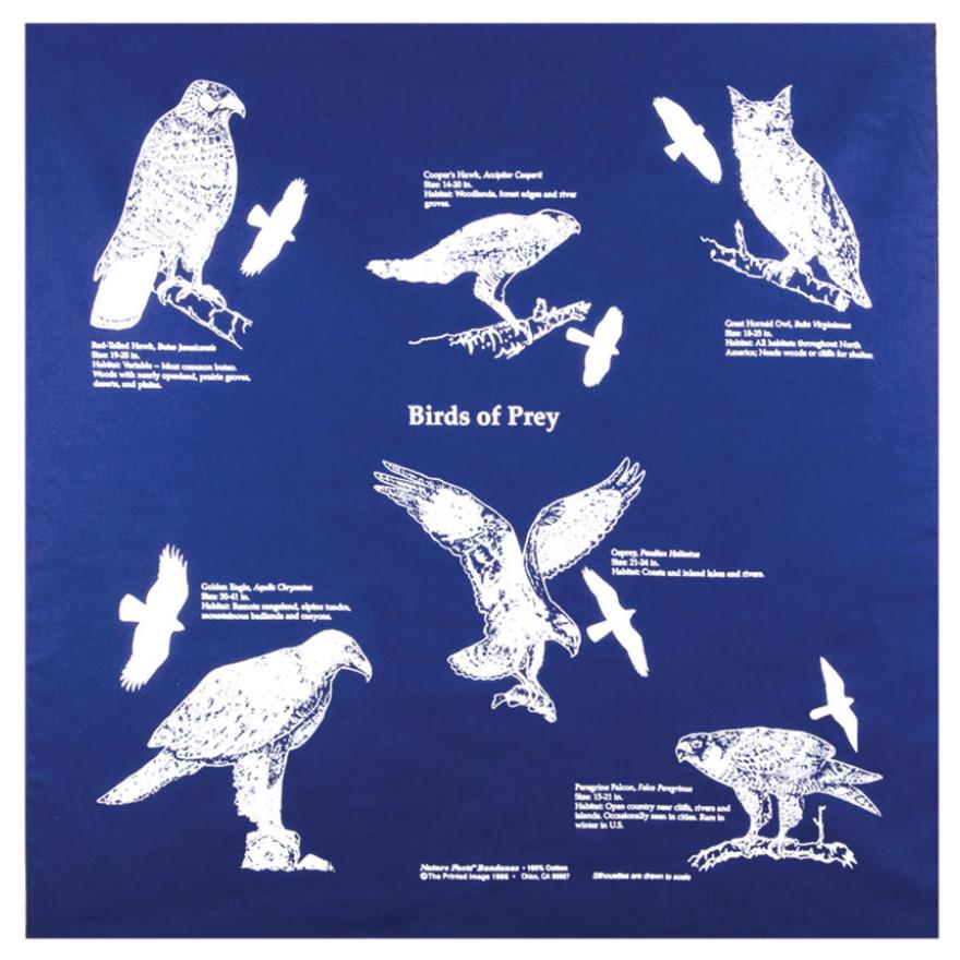 Birds of Prey 22" x 22" Info Bandana