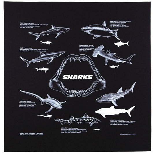 Black Sharks 22" x 22" Info Bandana