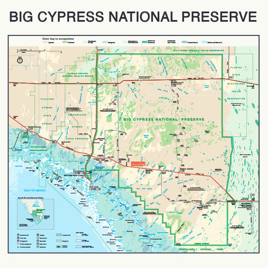Big Cypress National Preserve 22" x 22" Map Bandana
